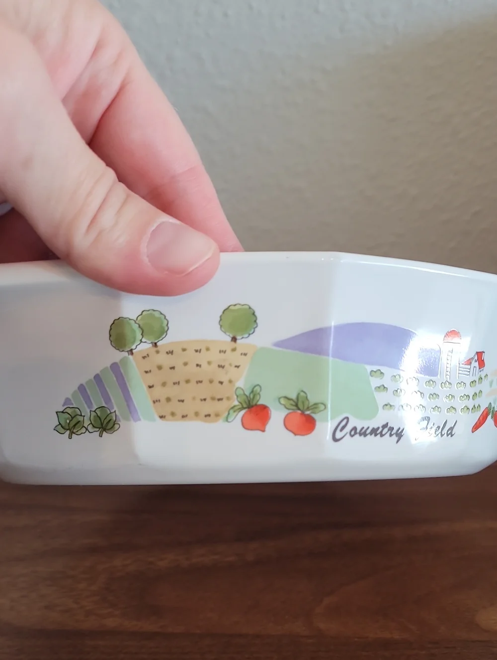 Vintage Mikasa Fire & Ice Country Field Baking Dish AA007 Japan Casserole